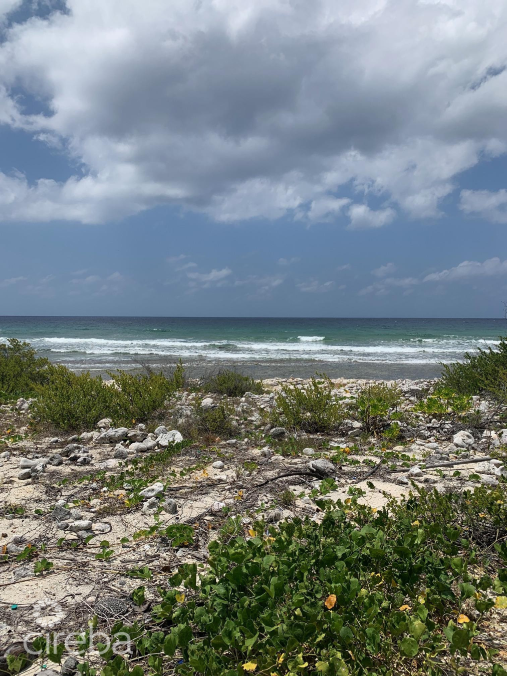 Northside Ocean Front And Inland Property