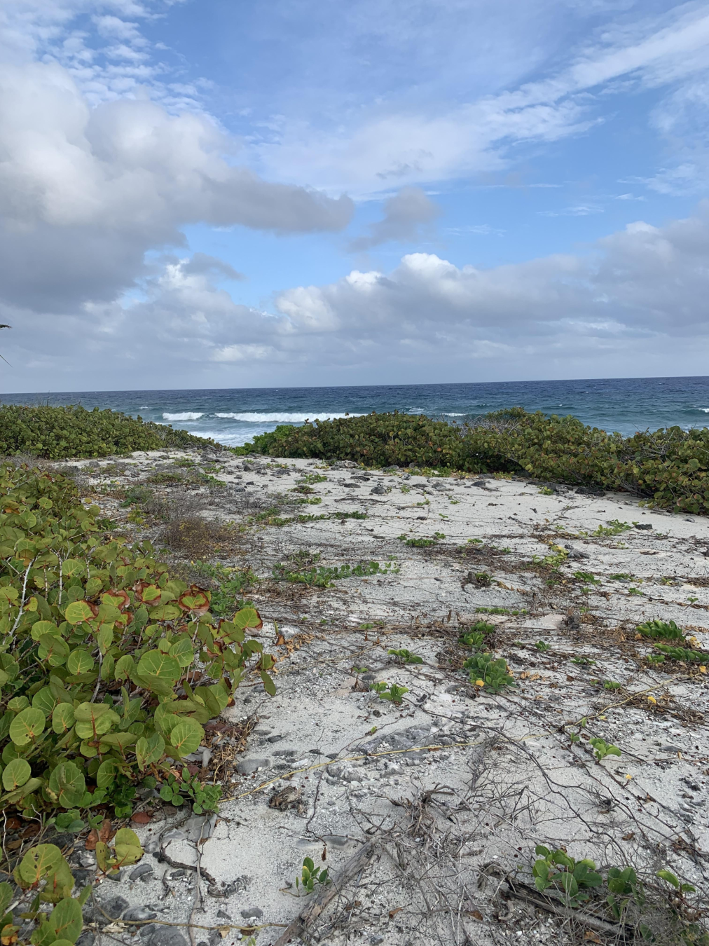South Side Ocean Front Land