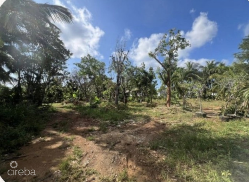 Development Opportunity - High & Dry Lot In Northward -  .53 Acres - 1