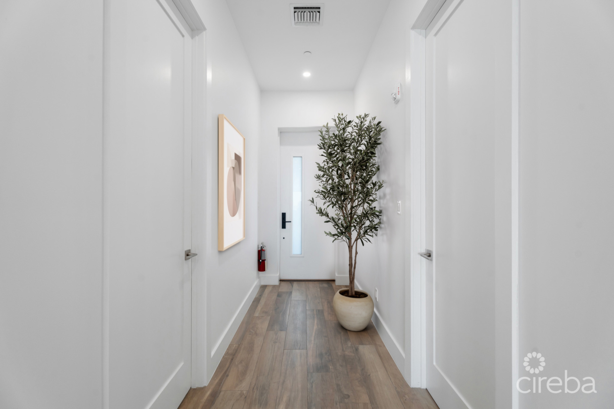 Aura Penthouse #404