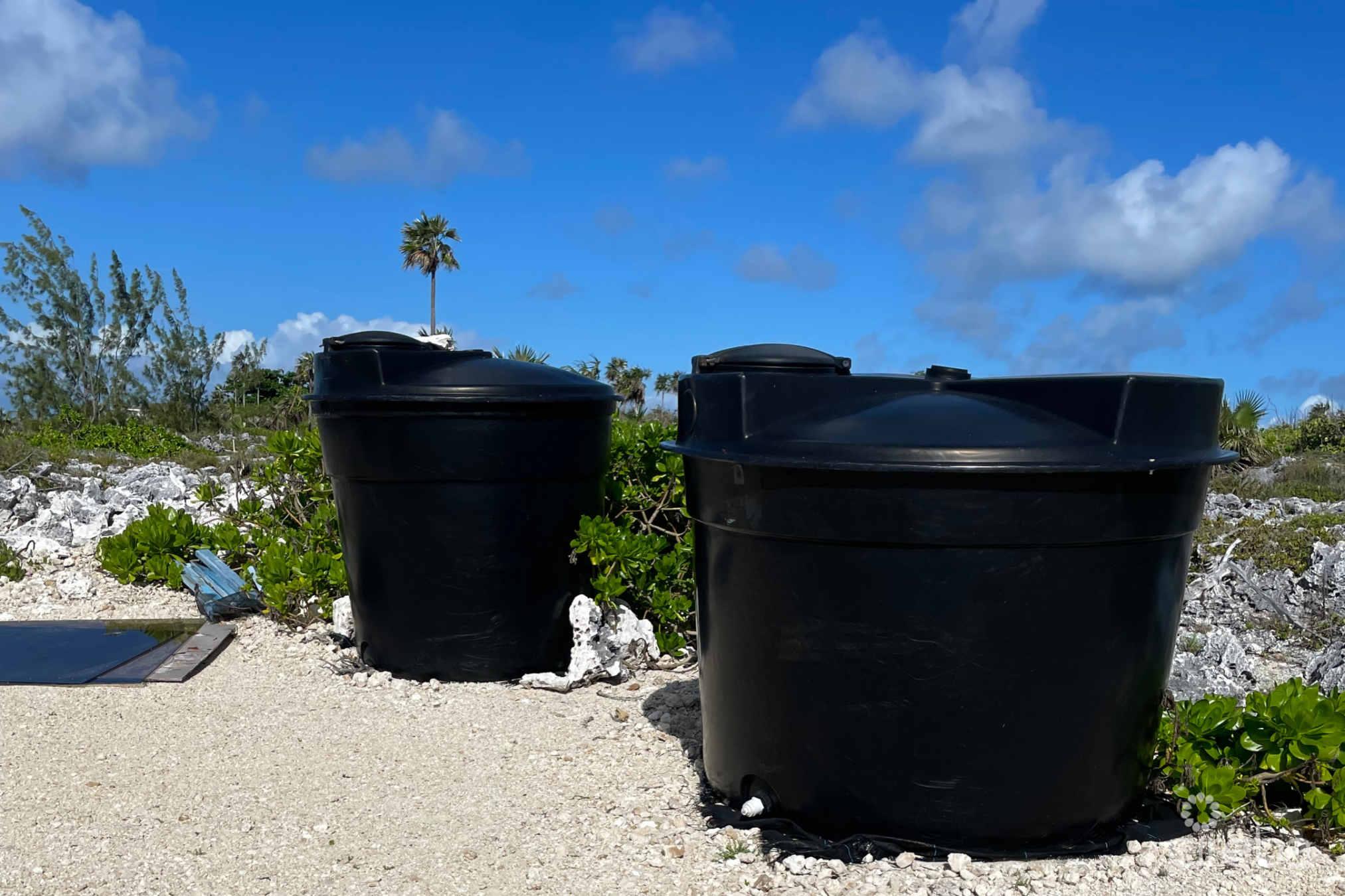 Cayman Sea Salt & Cayman Cookie Company (Business)