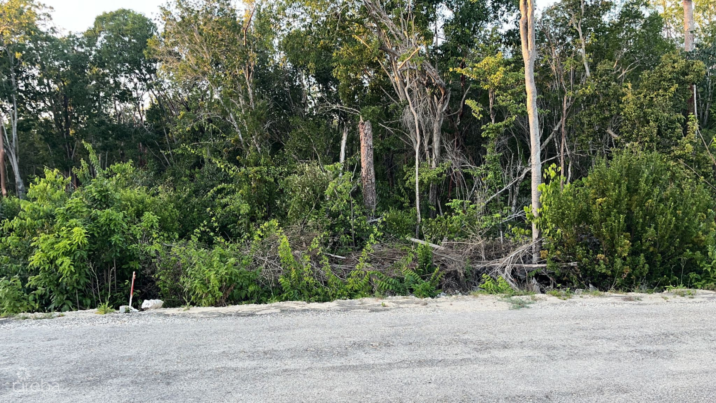 Cayman Brac Central Land