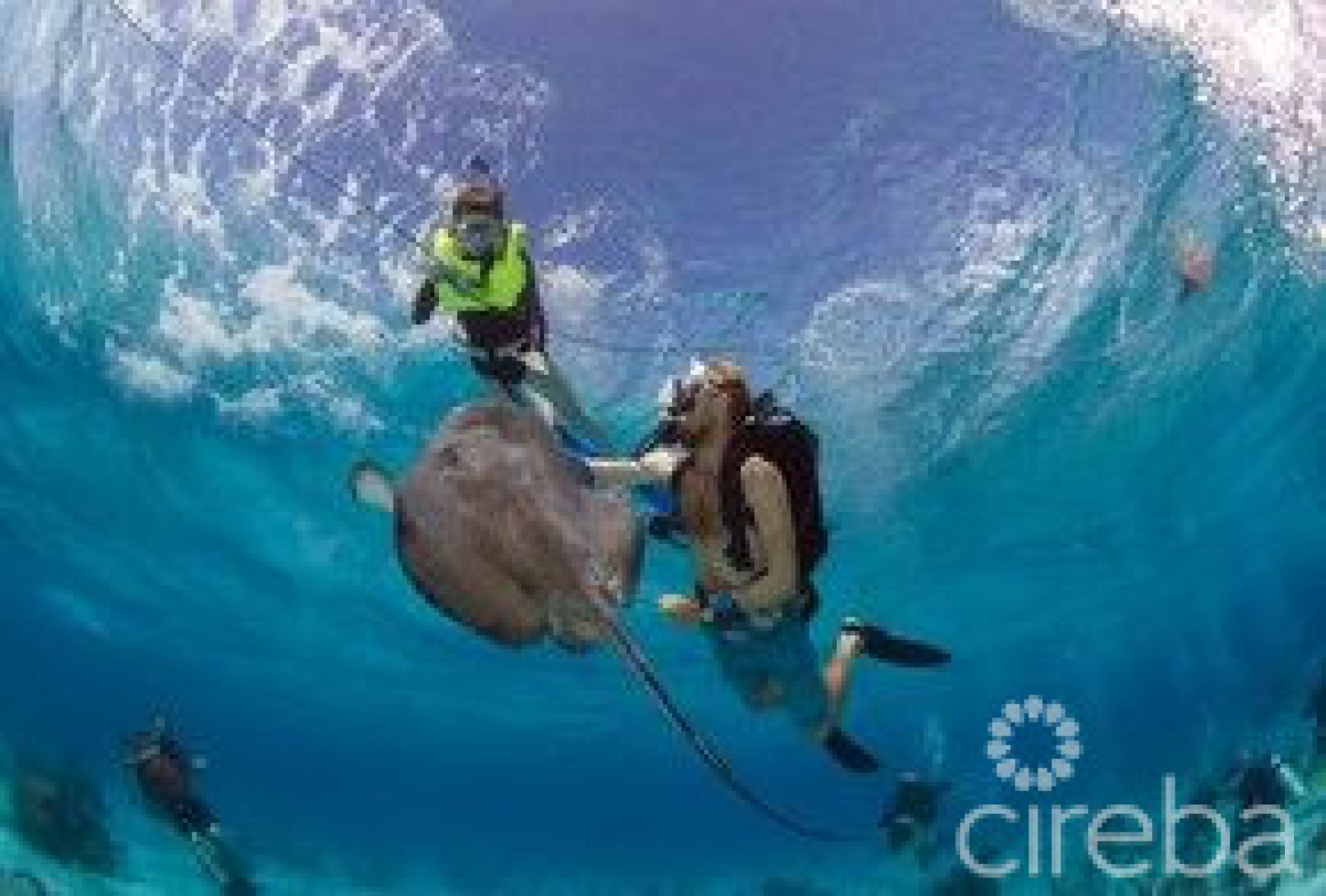 Compass Point Phase 2 Condominium