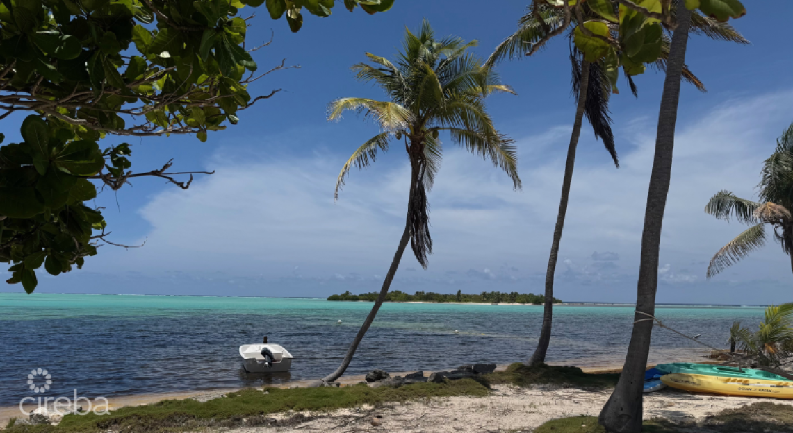Owen Island View - 1