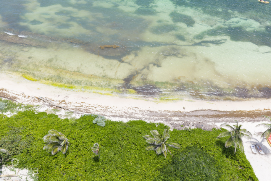 Rum Point Beach Front Lot - 1