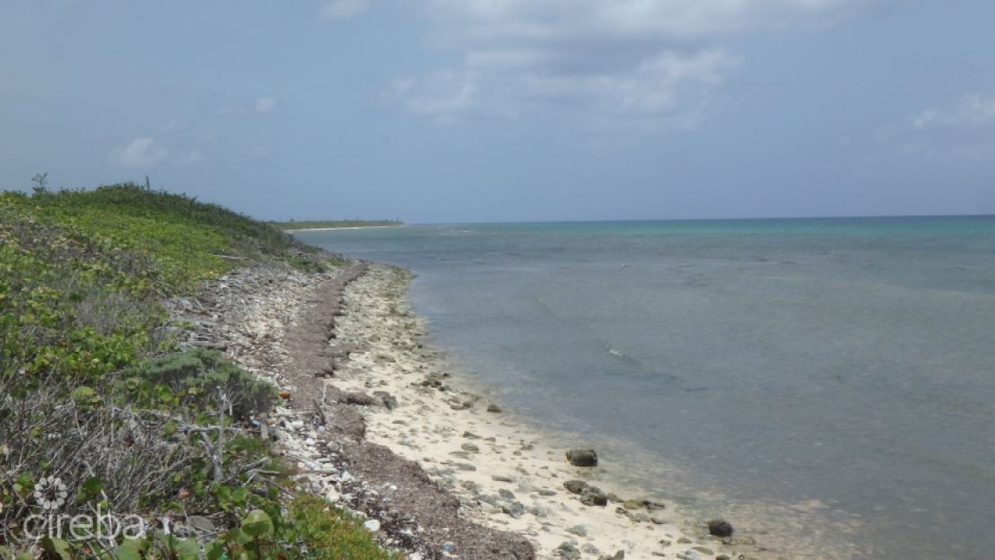 Little Cayman North Side Ocean Front Land - 1