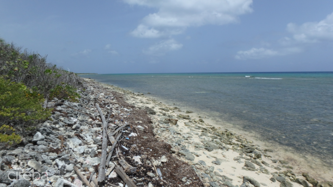 Little Cayman North Side Ocean Front Land - 1