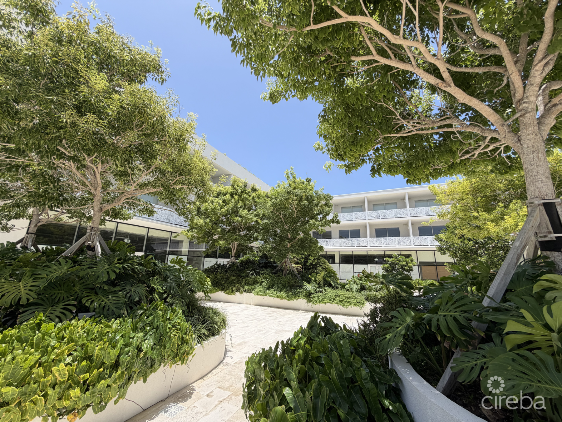 Grove Too  Commercial Office Space - Rare Corner Location